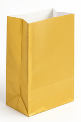 Shimmering Gold Medium Paper Treat Bags, 12-Pack