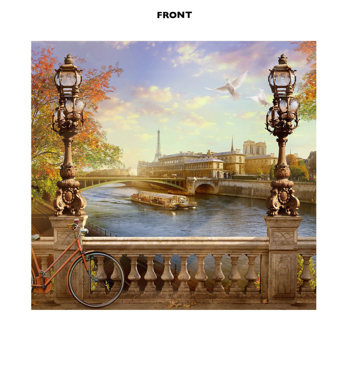 Paris Backdrop
