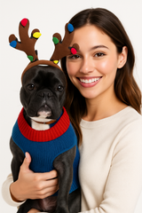 Festive Reindeer Pet Hat - XS/S
