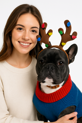 Festive Reindeer Antler Hat for Pets - Medium/Large