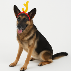 Pet Christmas Dr. Seuss The Grinch Max Reindeer Headband