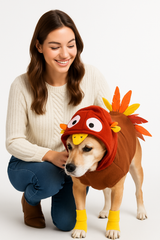 Thanksgiving Turkey Pet Costume - Large