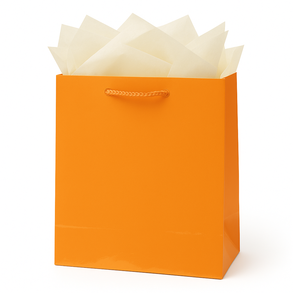 Medium Glossy Orange Gift Bag with Rope Handles