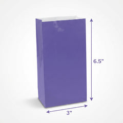 Mini Purple Glossy Paper Treat Bags - 12 Pack