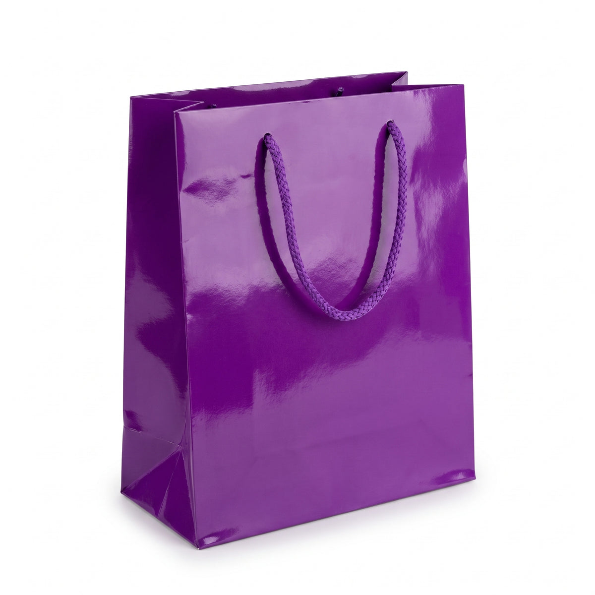 Glossy Purple Medium Gift Bag with Rope Handles