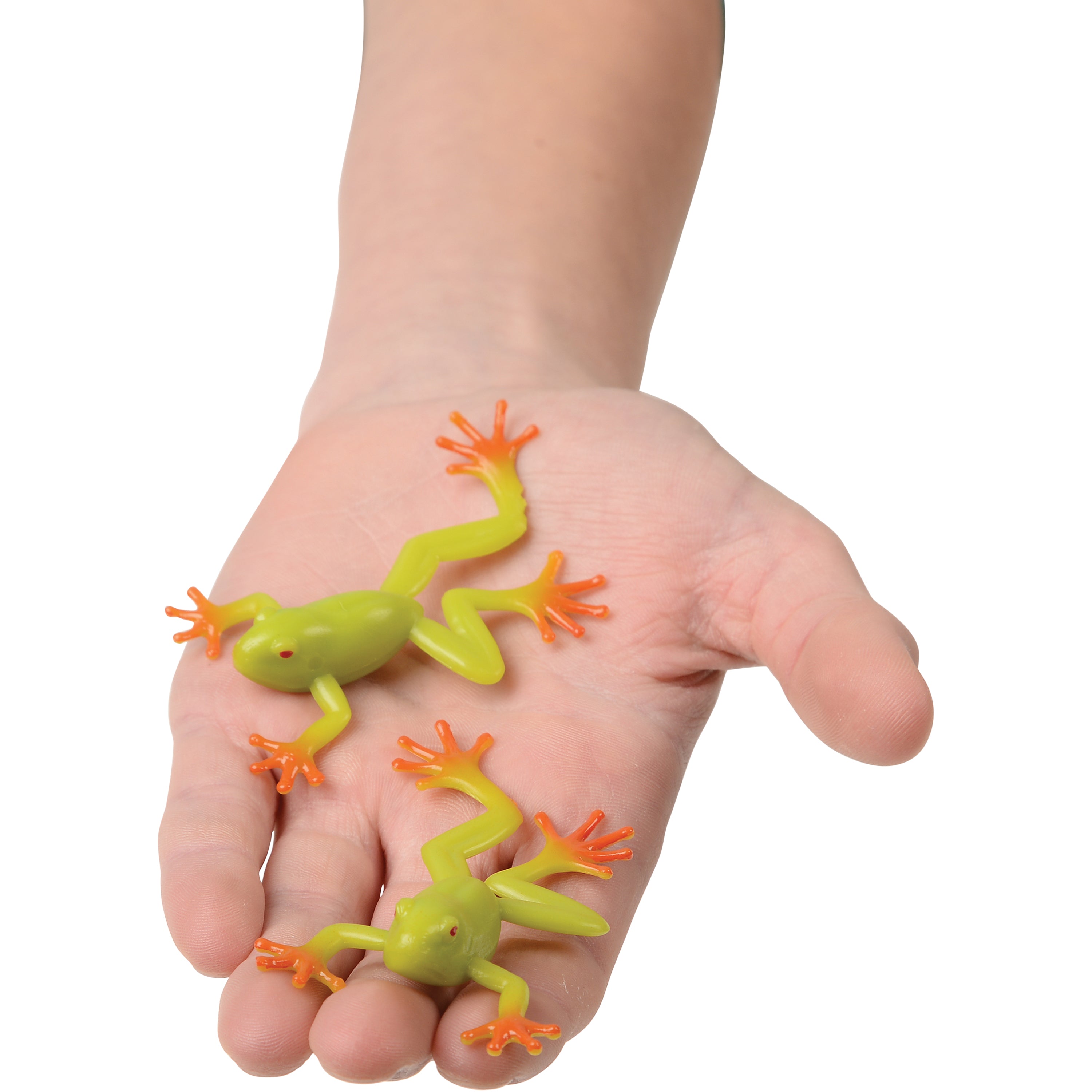 Mini Tree Frogs