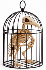 Spooky Skeleton Crow in Cage Halloween Decoration