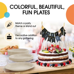 9 In. Ivory Plastic Plates | 100 Count