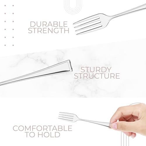 Exquisite Clear Plastic Tasting Forks 100 Count | 4 in.