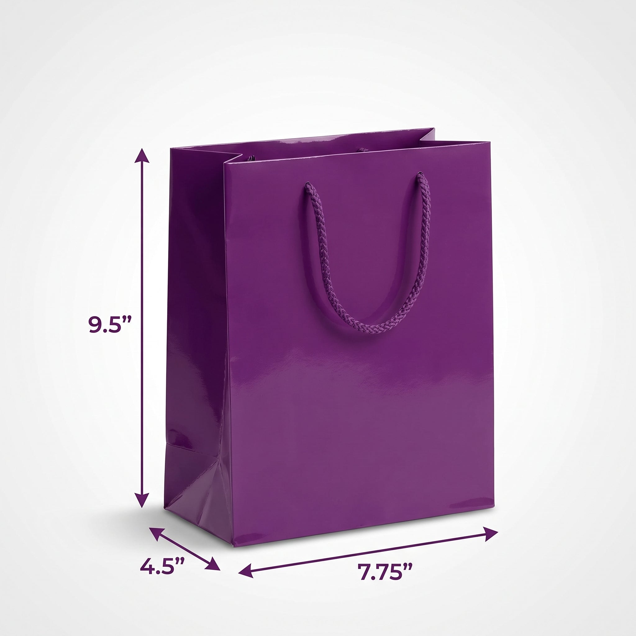 Glossy Purple Medium Gift Bag with Rope Handles