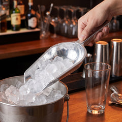 Silver Plastic Ice Scoop - 9-Inch