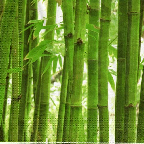 Bamboo Forest Designer Napkins | 16 Count