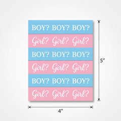Pink or Blue? Gender Reveal Party Invitations