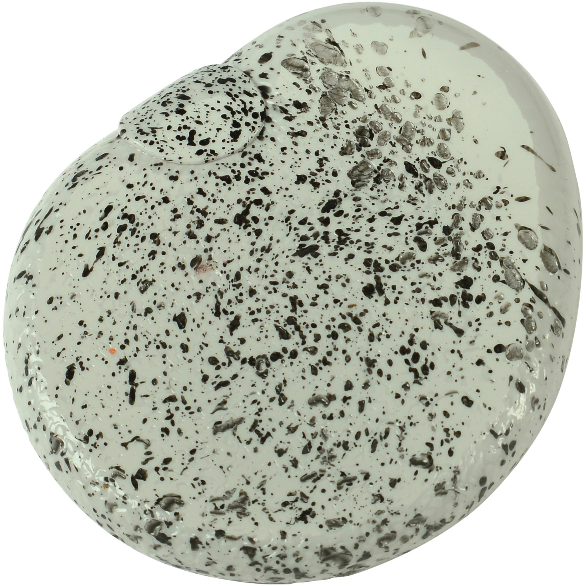 Splat Rocks
