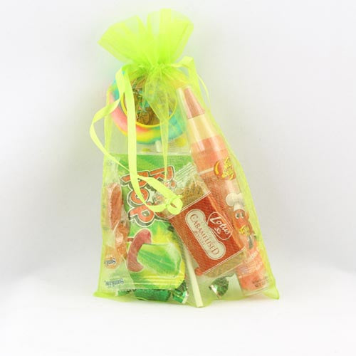 Lime Green Large Organza Pouch (6)